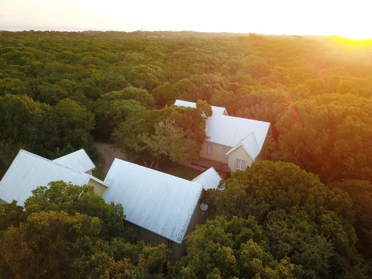 The Plantation Bed & Breakfast พอร์ตเอลิซาเบธ ภายนอก รูปภาพ