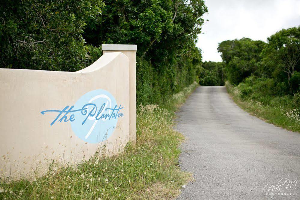 The Plantation Bed & Breakfast พอร์ตเอลิซาเบธ ภายนอก รูปภาพ