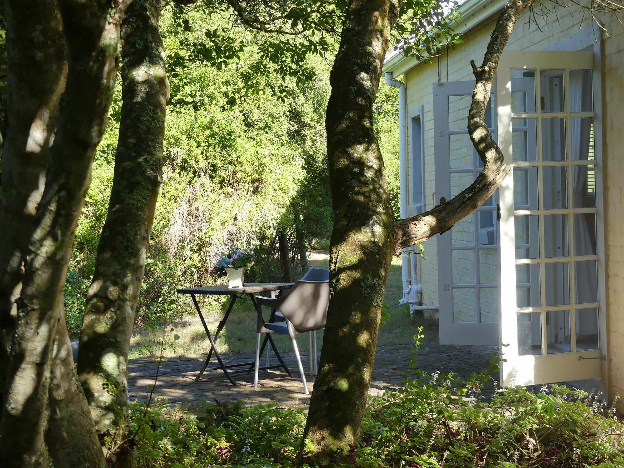 The Plantation Bed & Breakfast พอร์ตเอลิซาเบธ ภายนอก รูปภาพ